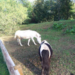 Photo n°3 de l'avis de Iryna.i fait le 28/10/2019 à 10:58 sur le  Farmhouse Il Fontanile à Sedriano