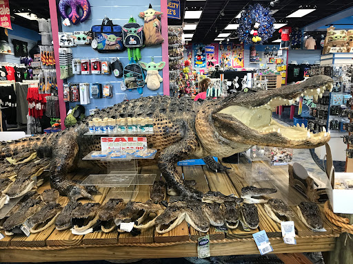 Gift Shop «Jungle Falls Gift Shop», reviews and photos, 5265 W Irlo Bronson Memorial Hwy, Kissimmee, FL 34746, USA