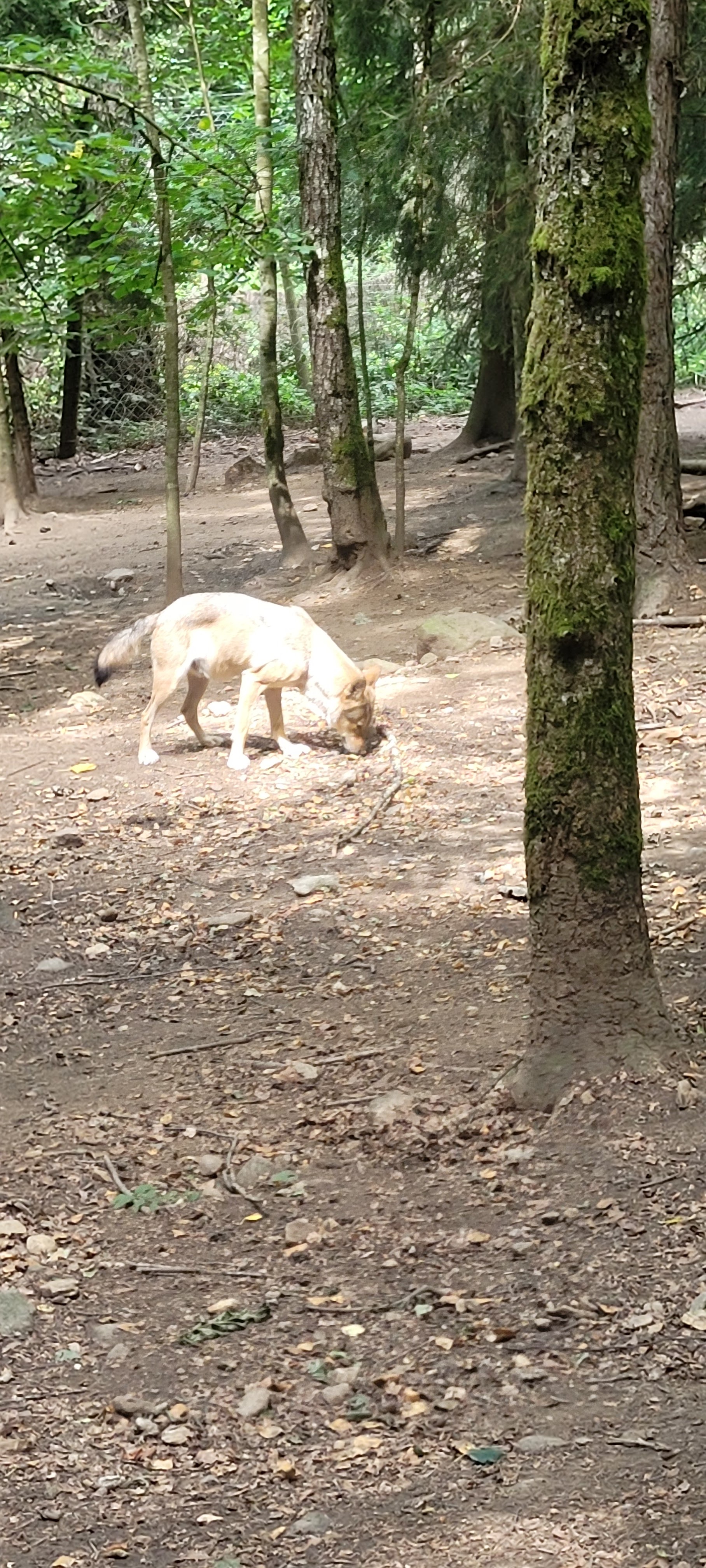 Photo n° 8 de l'avis de Pamela.a fait le 18/09/2022 à 12:17