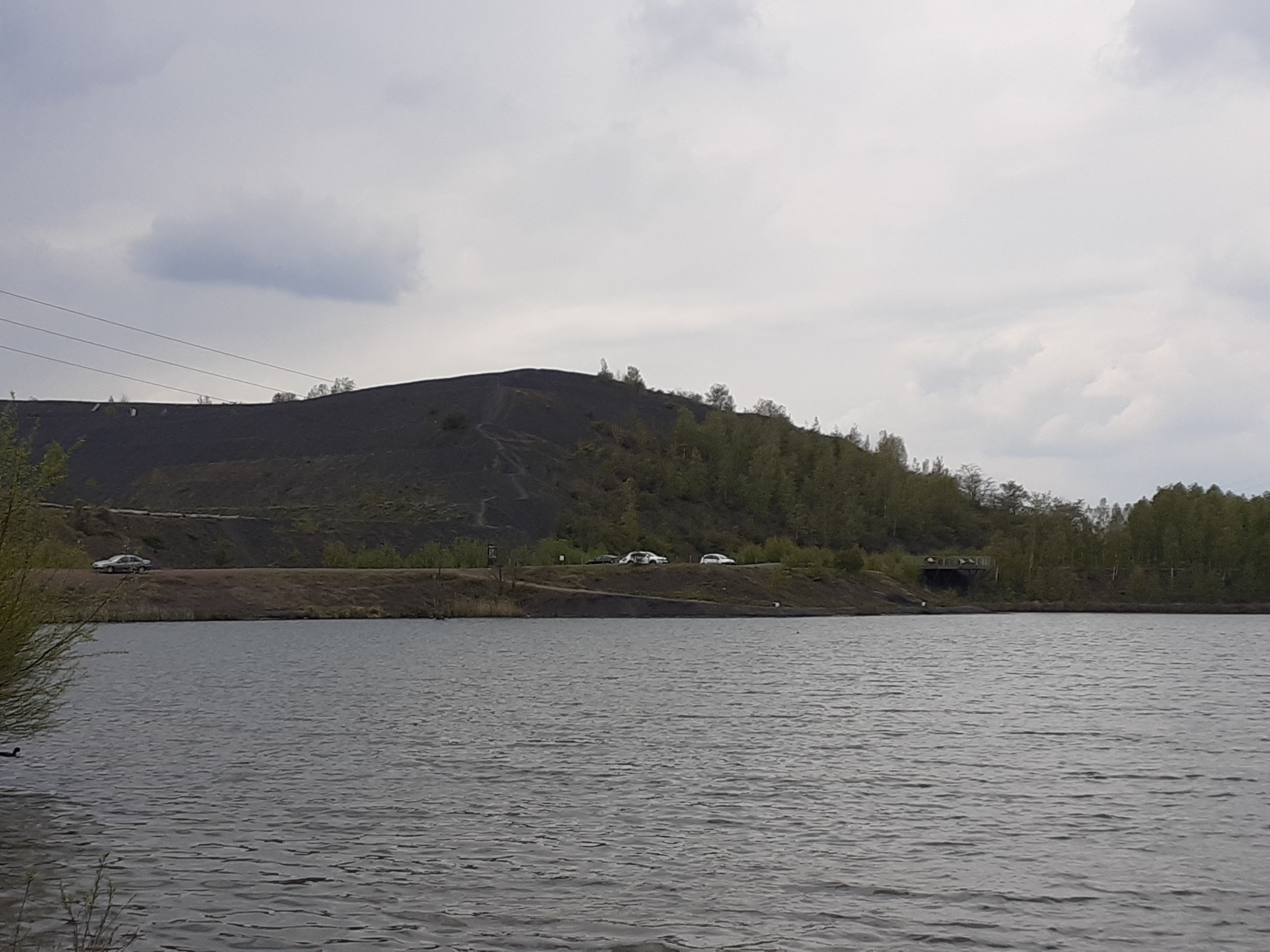Photo n° 18 de l'avis de Laurence.e fait le 30/04/2021 à 14:23
