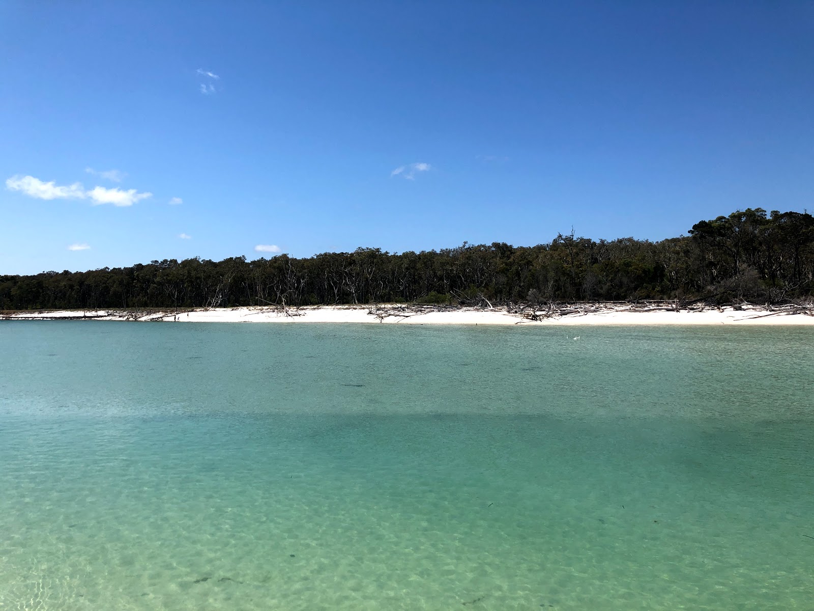 Woralie Creek Beach'in fotoğrafı doğal alan içinde bulunmaktadır
