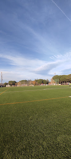Polideportivo Municipal Prince of Asturias en Colmenarejo