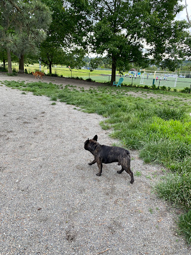 Park «Genesee Park and Playfield», reviews and photos, 4316 S Genesee St, Seattle, WA 98118, USA