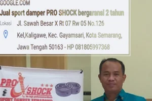 Sport damper PRO SHOCK Semarang image