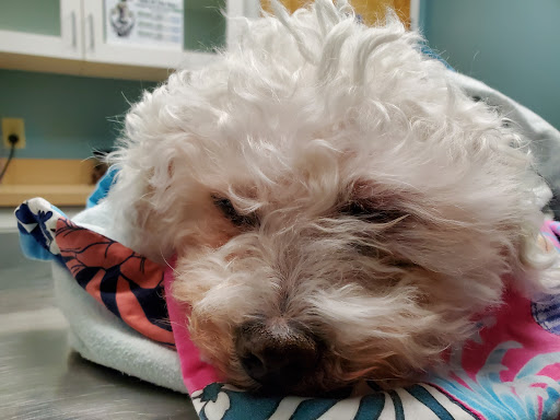 3340 GA-5, Douglasville, GA 30135, USA