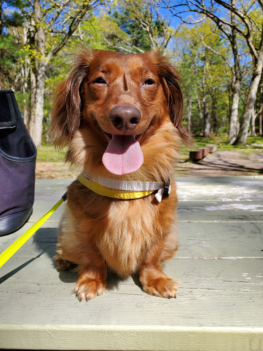 State Park «Breakheart Reservation», reviews and photos, 177 Forest St, Saugus, MA 01906, USA