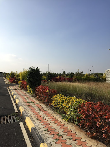 Google Maps image 16