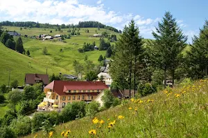 Naturparkhotel Grüner Baum image