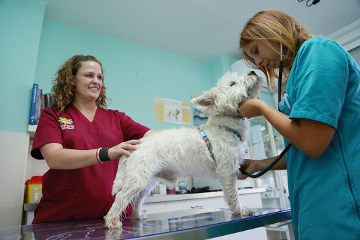Madrid Barajas Kliper Centro Veterinario en Madrid