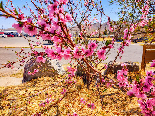 Grocery Store «Bullocks», reviews and photos, 630 N Broadway St, Truth or Consequences, NM 87901, USA