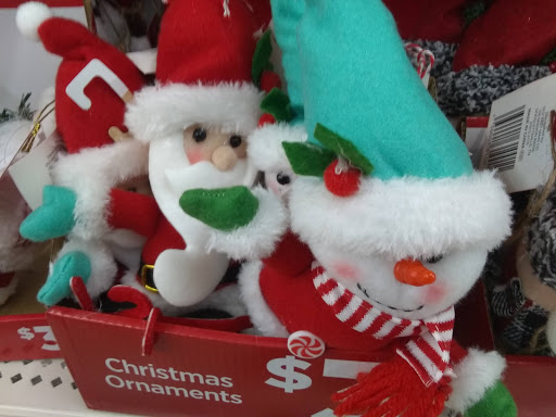 Discount Store «Dollar General», reviews and photos, 31550 FM306, Spring Branch, TX 78070, USA