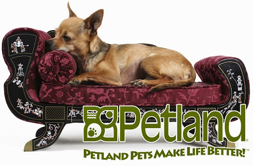 Pet Store «Petland Batavia», reviews and photos, 401 N Randall Rd, Batavia, IL 60510, USA