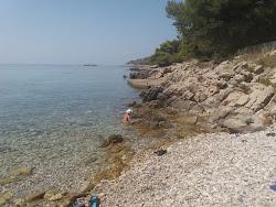 Izmeta beach'in fotoğrafı vahşi alan
