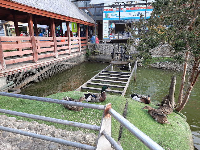 Doña Ema - Centro Comercial - Puerto Varas