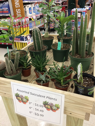 Hardware Store «Conway Ace Hardware», reviews and photos, 4434 Curry Ford Rd, Orlando, FL 32812, USA