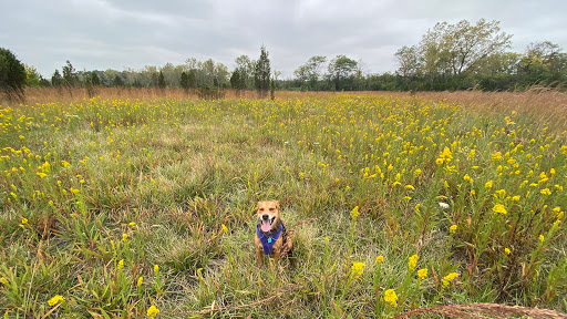 Dog Park «Beck Lake Off-Leash Dog Area», reviews and photos, 9700 Gloria Ct, Glenview, IL 60025, USA