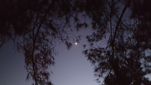 Park «Crossed Arrows Park», reviews and photos, 6102 E Acoma Dr, Scottsdale, AZ 85254, USA