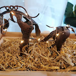 Photo n°6 de l'avis de Daniela.r fait le 14/08/2022 à 17:28 sur le  Hotel und Restaurant Schwarzes Ross à Oberwiesenthal