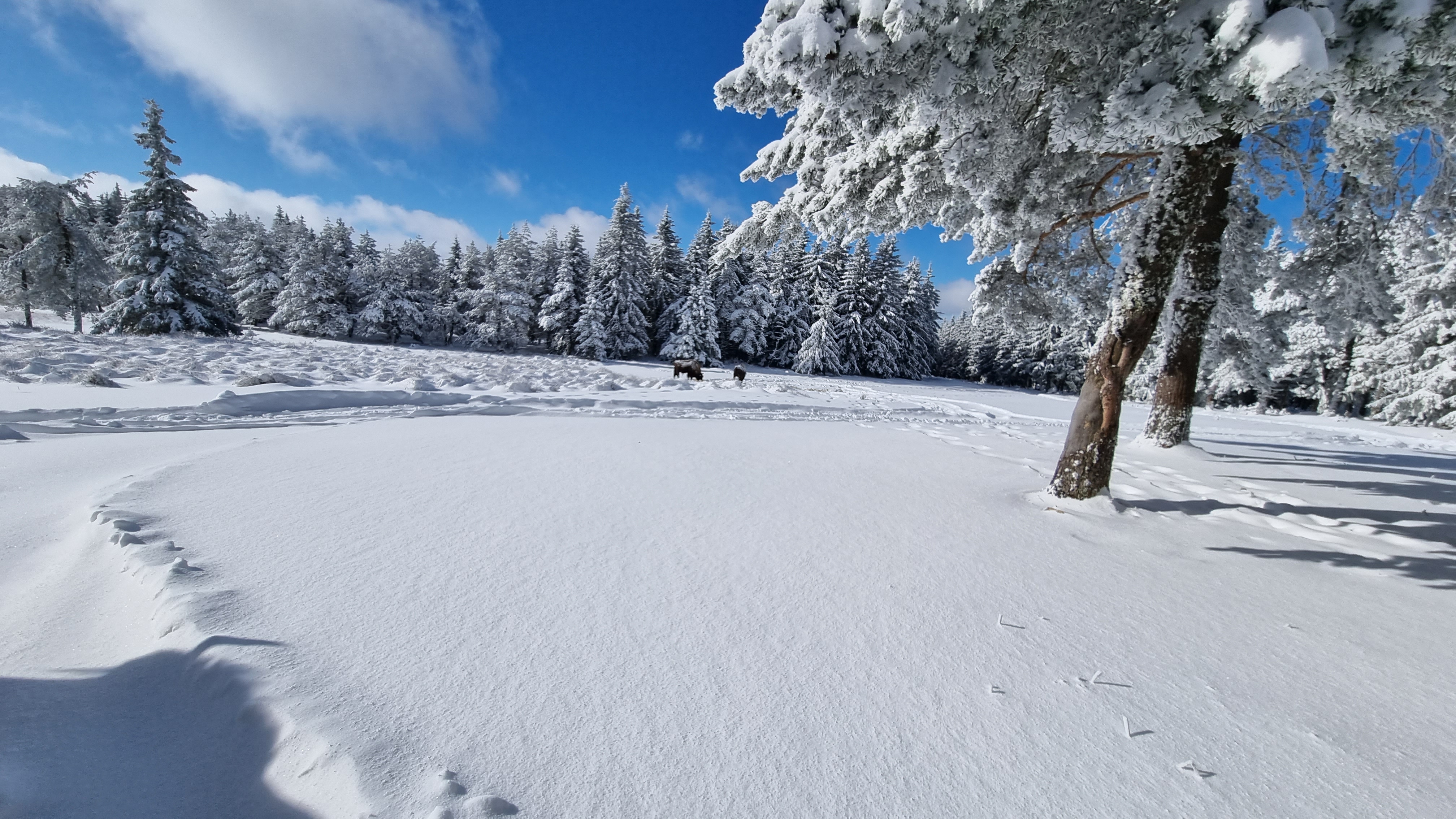 Photo n° 3 de l'avis de qntin. fait le 20/01/2023 à 13:20
