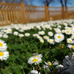 Photo n°6 de l'avis de Daniele.i fait le 15/04/2018 à 12:11 sur le  La Corte della Miniera à Urbino