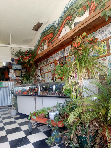 Explore celtic cross tattoo ideas, creative tattoo ideas in Emporia, available at Monarch Tattoo