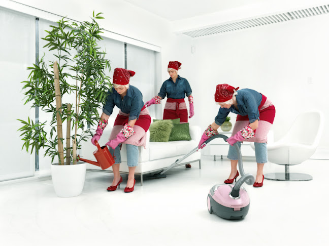Rezensionen über Edelweiss-Cleaning GmbH in Bern - Hausreinigungsdienst