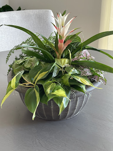 Funeral Home «Resthaven Gardens of Memory & Funeral Home», reviews and photos, 11817 Jefferson Hwy, Baton Rouge, LA 70816, USA