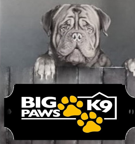 Big Paws K9