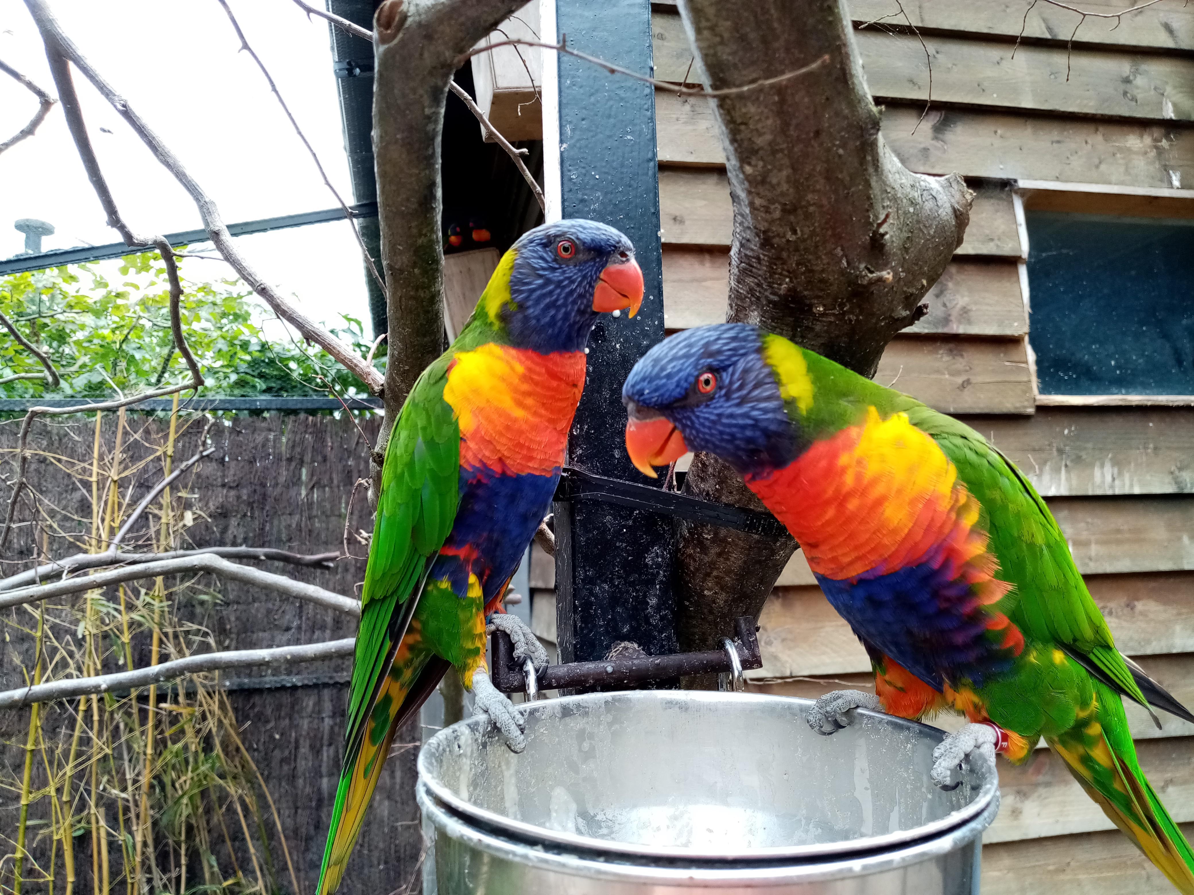 Photo n° 11 de l'avis de Marielaure.a fait le 25/07/2023 à 19:08