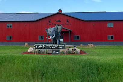 Plumbing Service Amherst