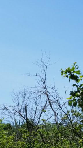 Nature Preserve «Jackson Bog State Nature Preserve», reviews and photos, 7984 Fulton Dr NW, Massillon, OH 44646, USA