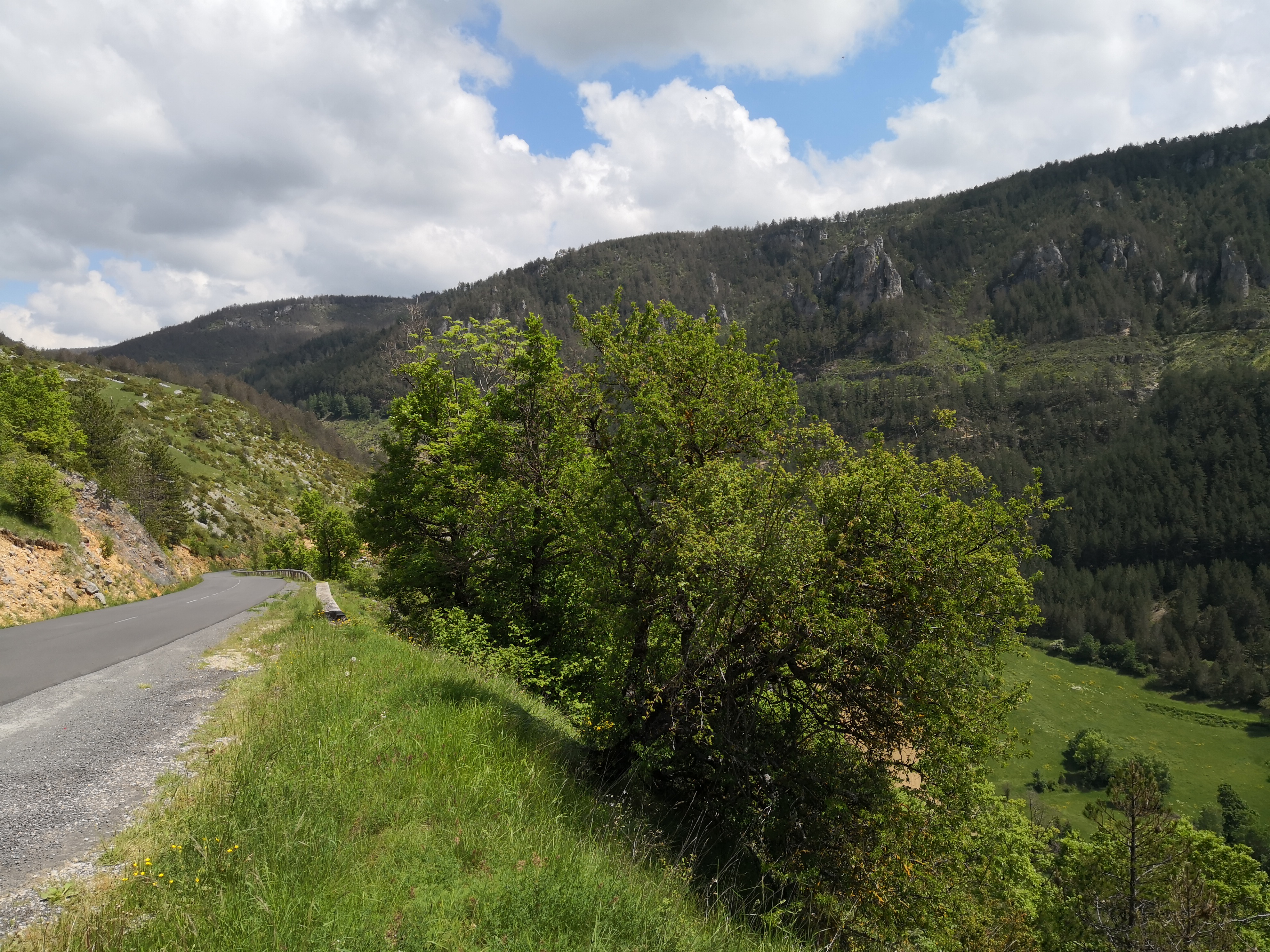 Photo n° 4 de l'avis de Vincent.a fait le 30/05/2018 à 21:36