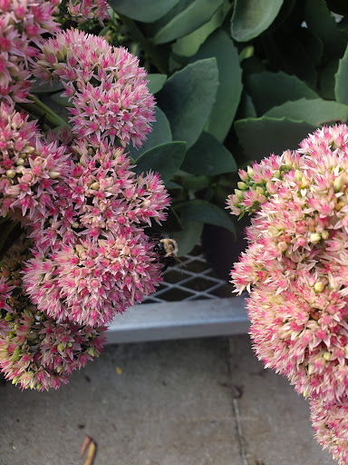 Home Improvement Store «The Home Depot», reviews and photos, 160 Laconia Rd, Tilton, NH 03276, USA