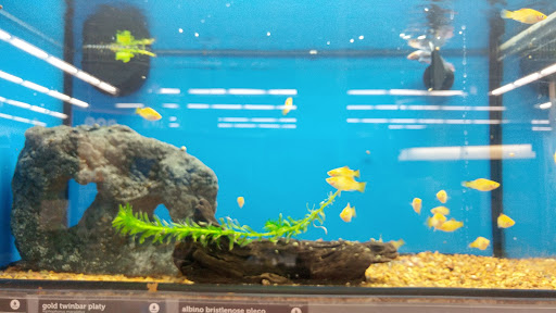 Pet Supply Store «Petco Animal Supplies», reviews and photos, 2515 Corridor Way #3, Coralville, IA 52241, USA