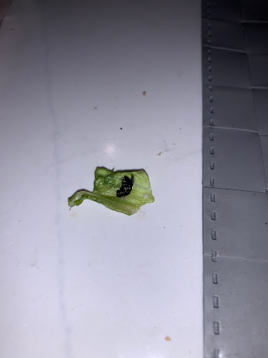 Mexican Restaurant «El Pollo Loco», reviews and photos, 996 W El Camino Real, Sunnyvale, CA 94087, USA