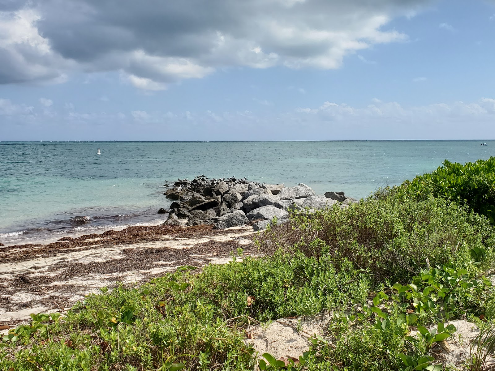 Virginia Key beach II的照片 带有碧绿色纯水表面