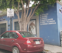 Veterinary Clinic Zuu photo