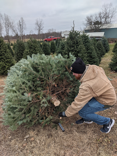 D'Lamater's Winter-fresh Christmas Tree Farm