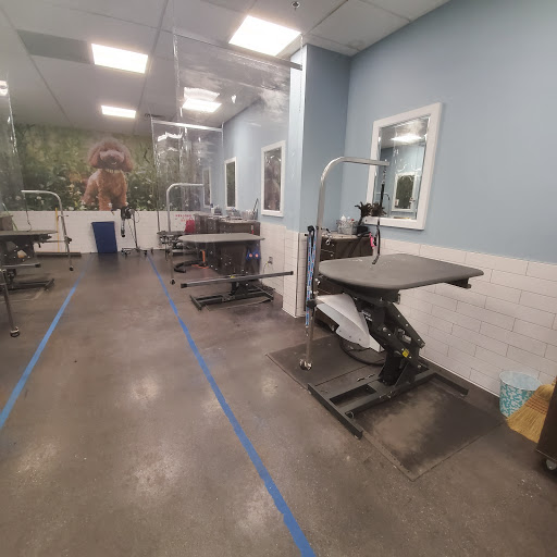 Pet Store «PetSmart», reviews and photos, 160 Passaic Ave #5, Kearny, NJ 07032, USA