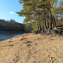 Photo n°3 de Angie Playa à Saint-Martin-du-Puy ()