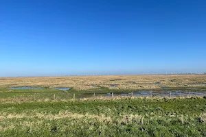 Drowned Land of Saeftinghe image