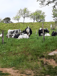 Photo n°122 de FERME AUBERGE GLASBORN LINGE à Soultzeren ()