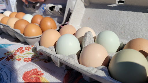 Supermarket «Mt Clemens farmers Market», reviews and photos, 135 N River Rd, Mt Clemens, MI 48043, USA