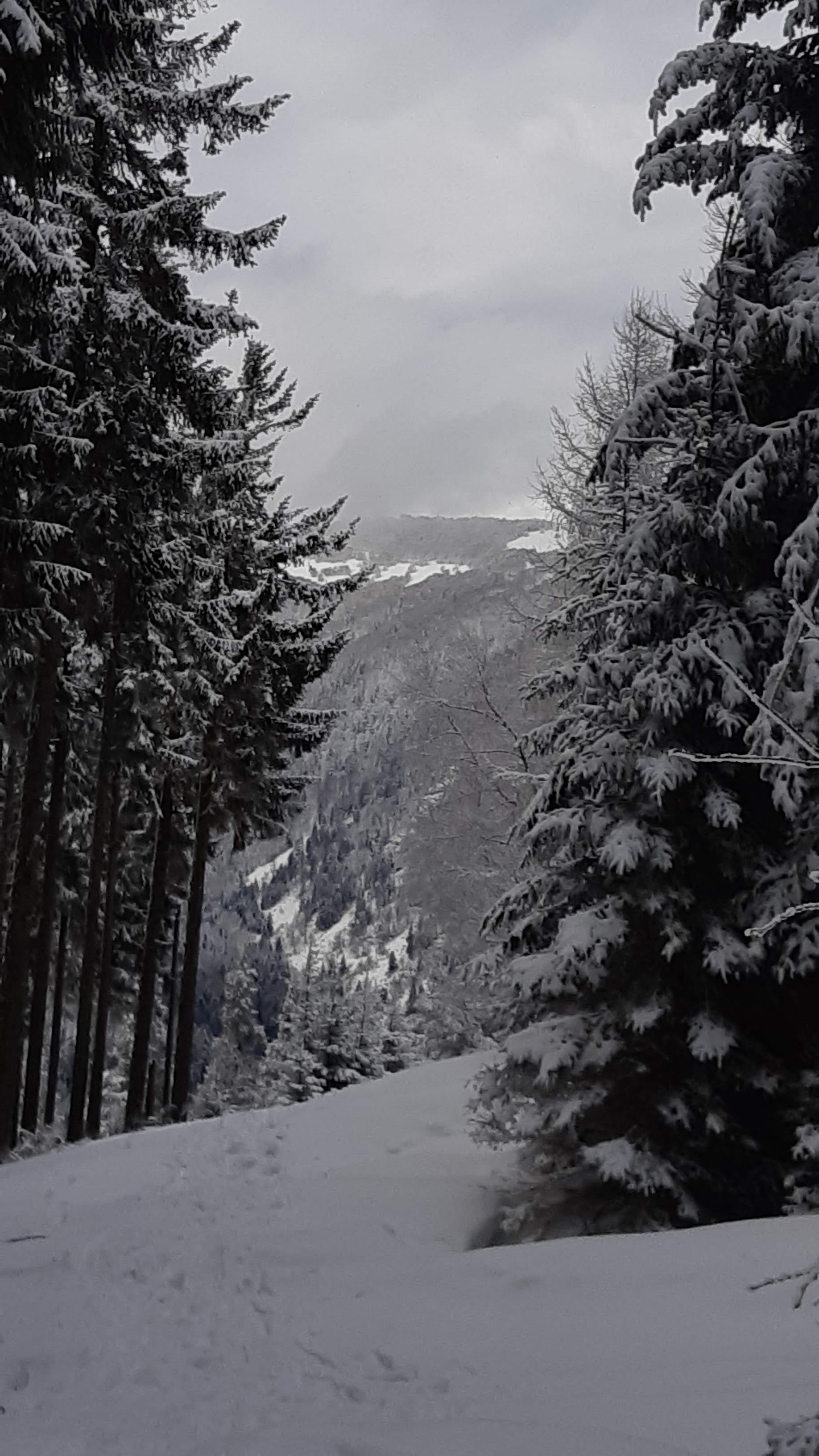 Photo n° 1 de l'avis de alain.a fait le 24/01/2021 à 17:58