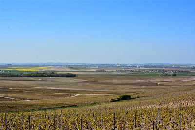 Champagne Quenardel et Fils à Verzenay