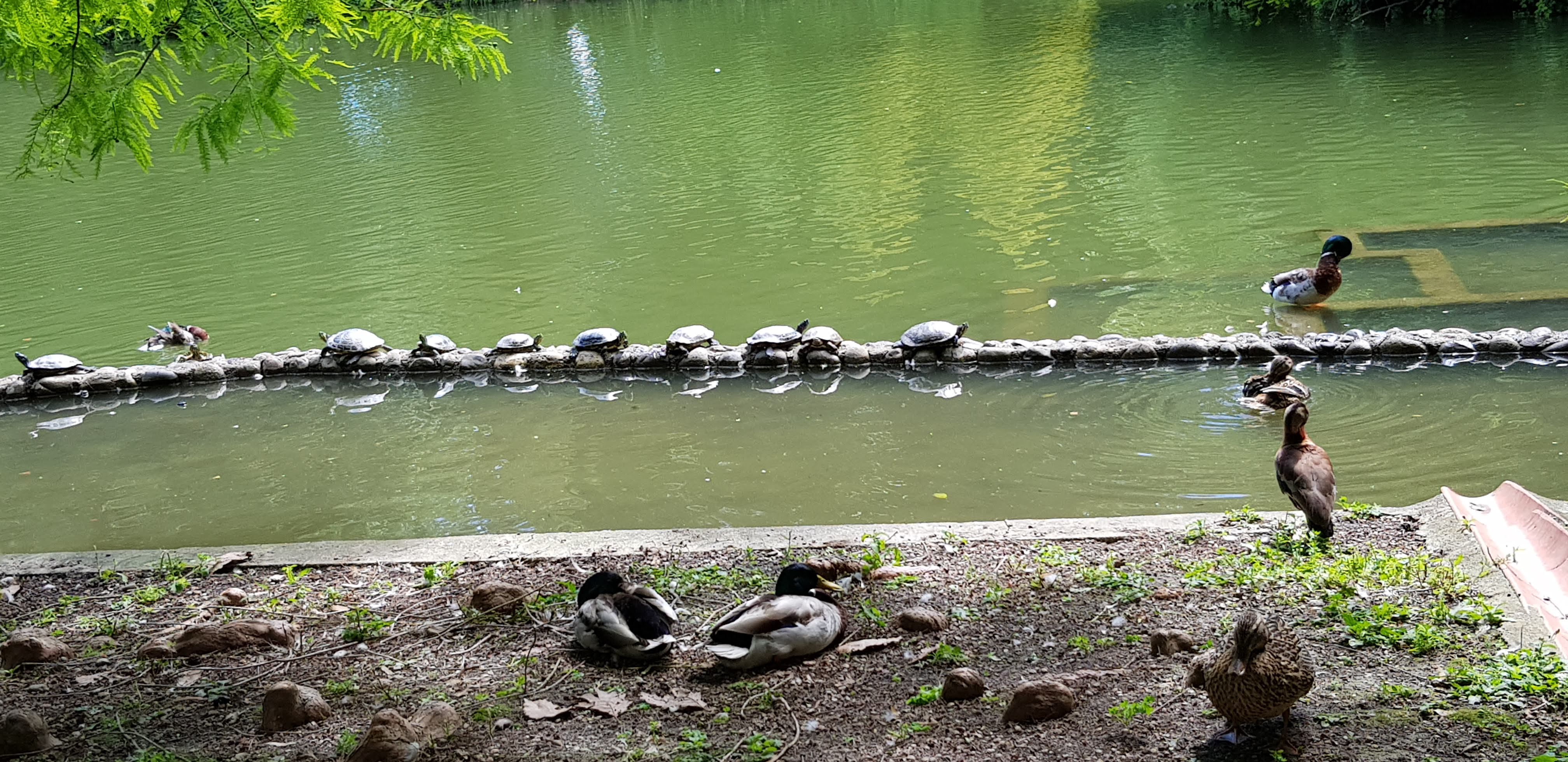 Photo n° 3 de l'avis de M-France.o fait le 12/06/2020 à 15:19