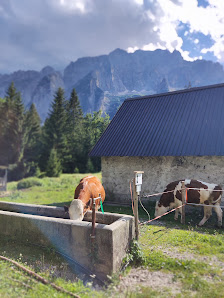 Agriturismo Prati Oitzinger Localita Prati Oitzinger, 33018 Tarvisio UD, Italia