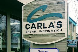 Carla's Shear Inspiration