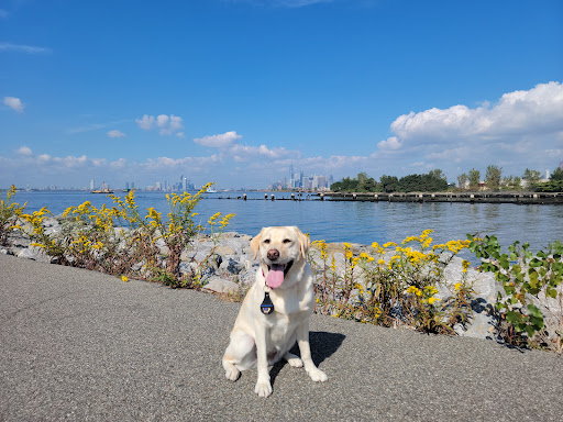 Park «Bush Terminal Piers Park», reviews and photos, Marginal St. & 43rd Street, Brooklyn, NY 11232, USA