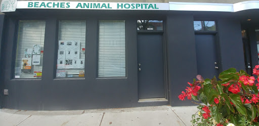Beaches Animal Hospital